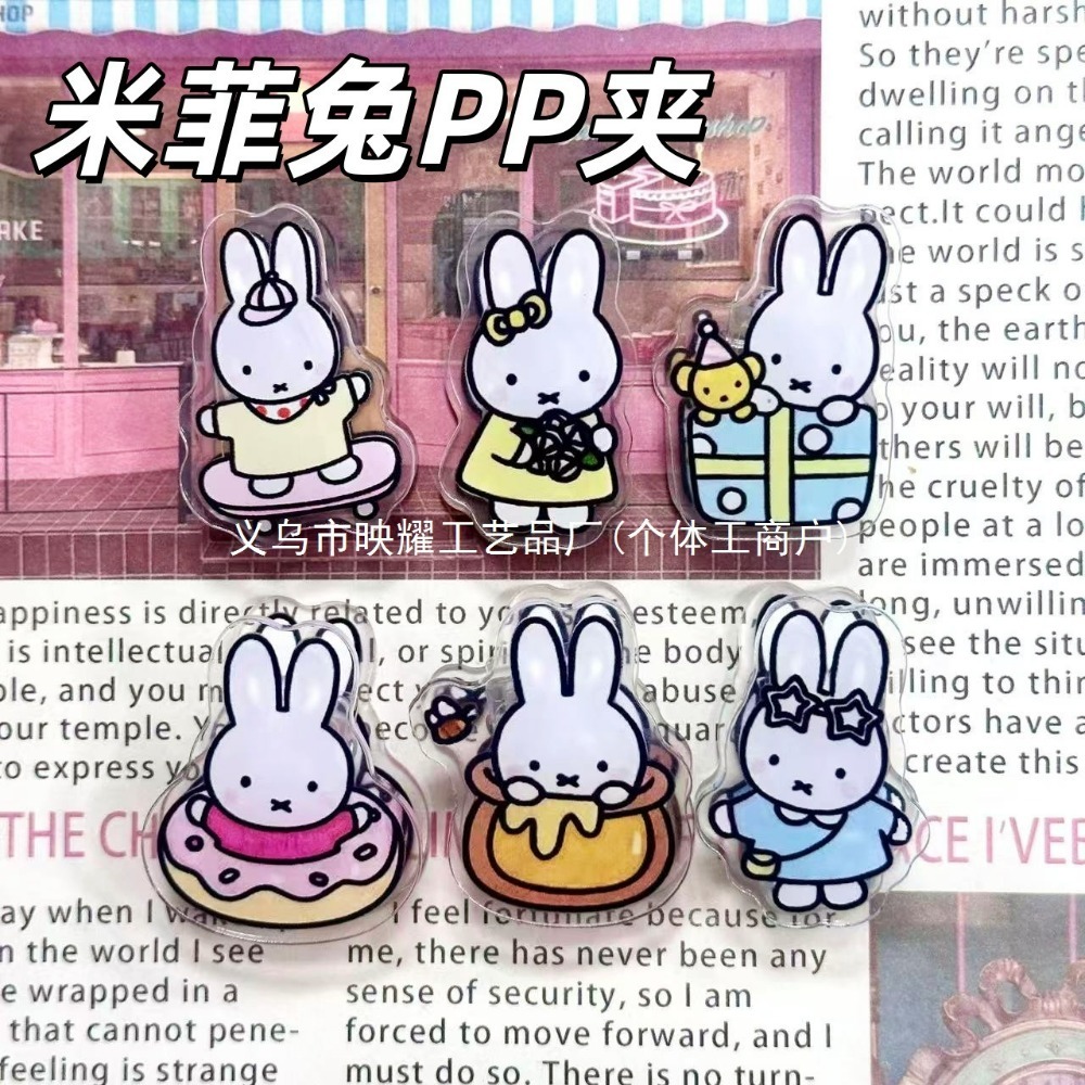 Food Snacks To Eat - 6 Stück Niedliche Miffy Acryl Doppelseitige