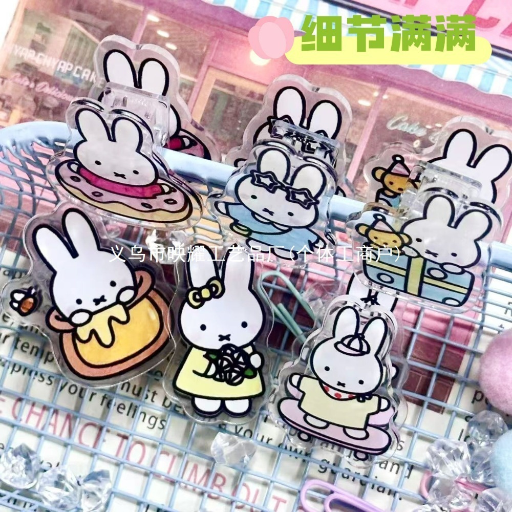 6 Stück Niedliche Miffy Acryl  – Food Snacks To Eat Bewertung und Preis
