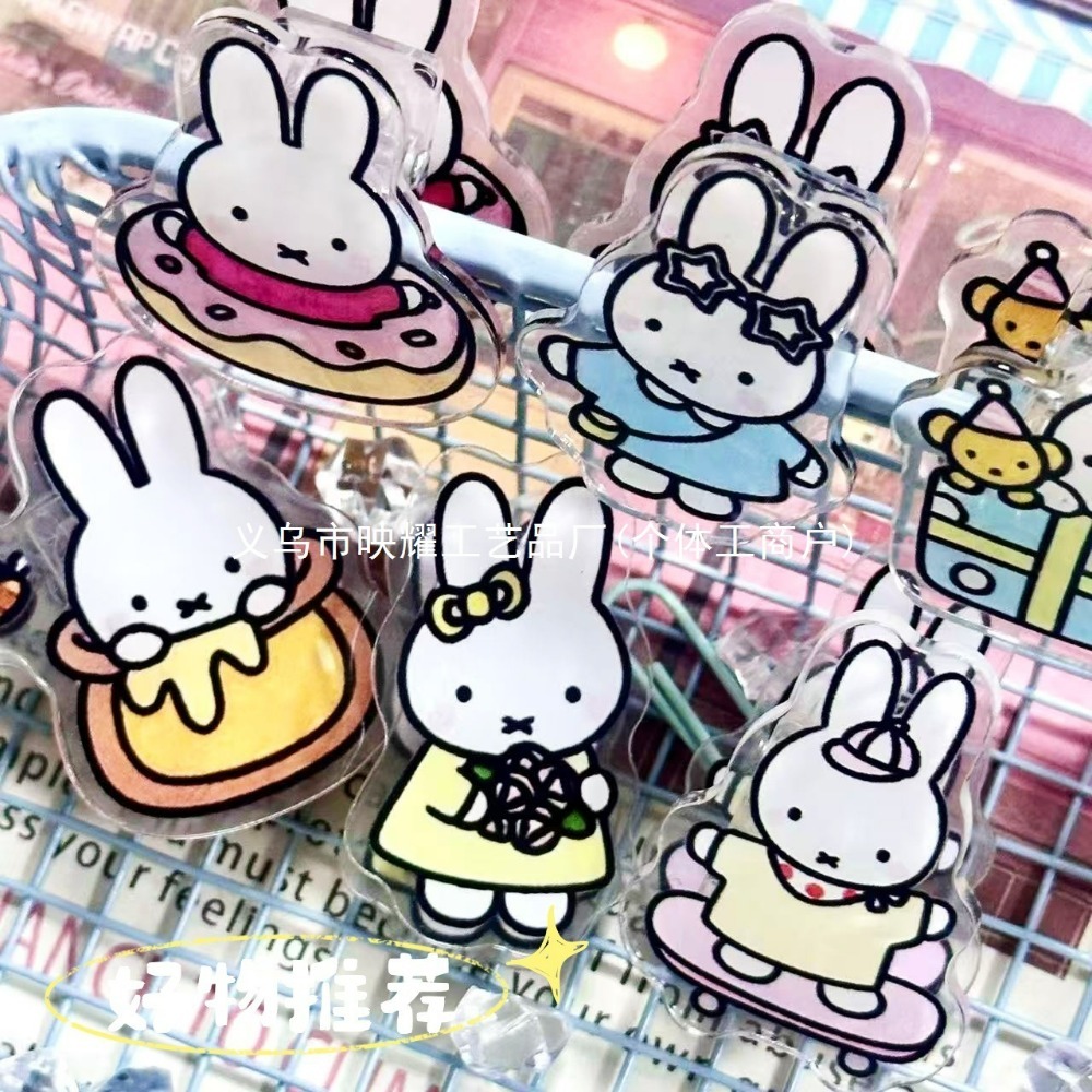 6 Stück Niedliche Miffy Acryl  – Food Snacks To Eat Bewertung und Preis