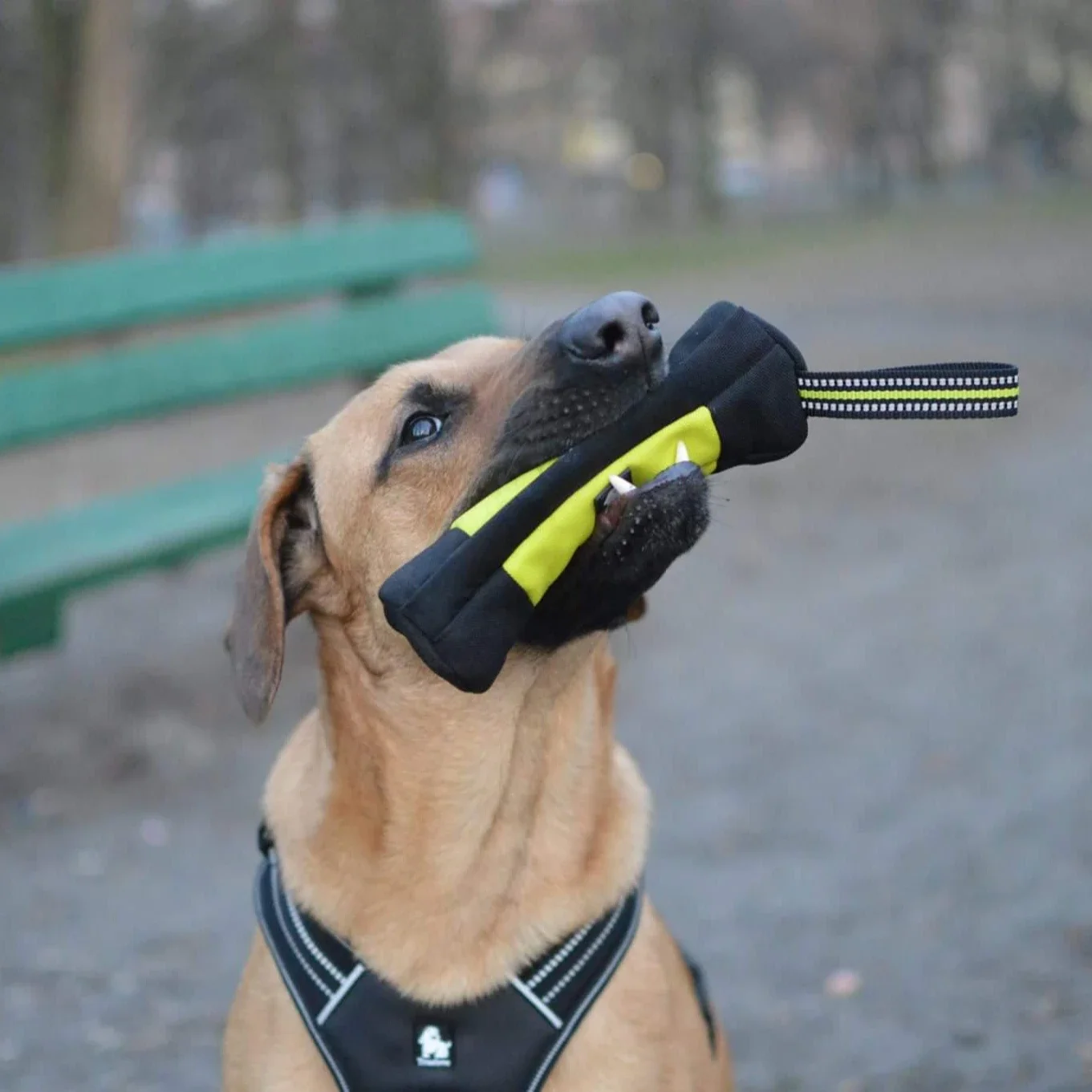Truelove Hundetraining Retriev – Quality Food Snacks Bewertung und Preis